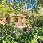 Pellicano By Interhome *